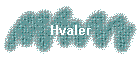 Hvaler